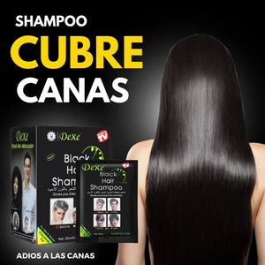 SHAMPOO CUBRE CANAS + ENVIO GRATIS