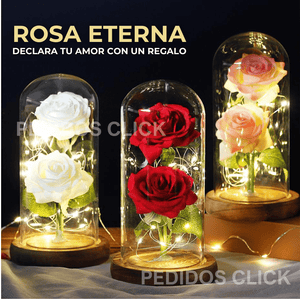 🌹 ROSA ETERNA ENCAPSULADA + ENVÍO GRATIS