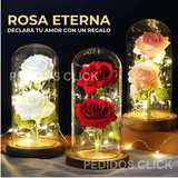 🌹 ROSA ETERNA ENCAPSULADA + ENVÍO GRATIS