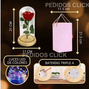 🌹 ROSA ETERNA ENCAPSULADA + ENVÍO GRATIS