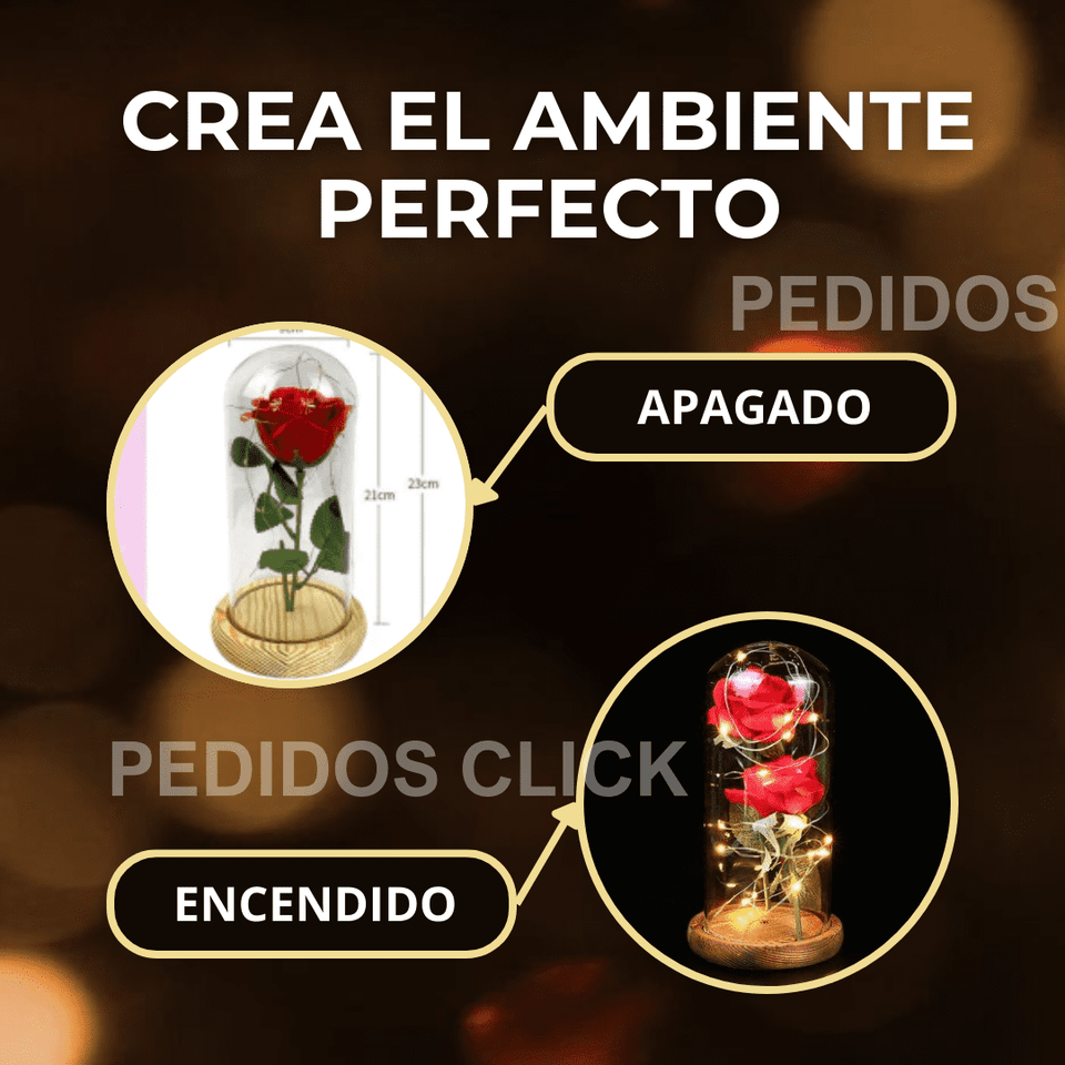 🌹 ROSA ETERNA ENCAPSULADA + ENVÍO GRATIS